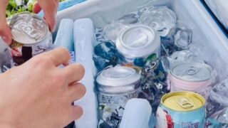 非常時も安心！クーラーボックスで冷蔵庫を超える技